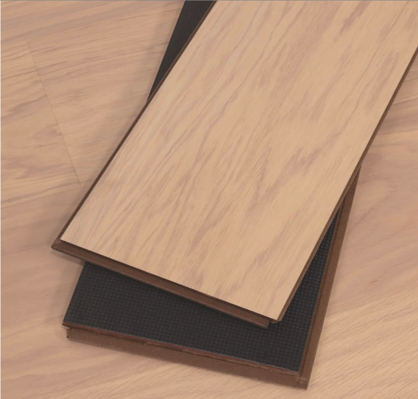 Sycamore Buff